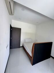 Duku Place (D15), Condominium #582552991
